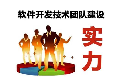 自建技術團隊開發軟件可以嗎?