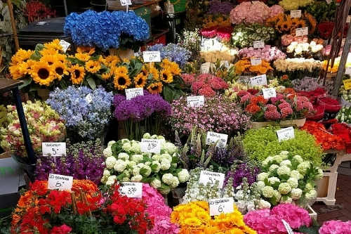 花卉采購APP開發(fā)的功能及其優(yōu)勢(圖2) 花卉采購APP開發(fā)的功能及其優(yōu)勢(圖2)