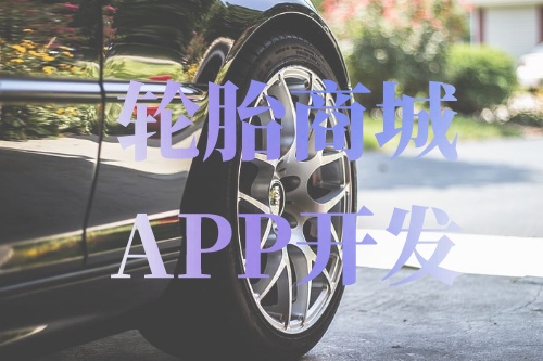 德州輪胎商城APP開發(fā)功能介紹(圖1) 德州輪胎商城APP開發(fā)功能介紹(圖1)