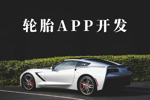 輪胎app的功能及優勢有哪些(圖1) 輪胎app的功能及優勢有哪些(圖1)