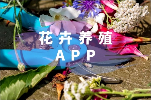 花卉養(yǎng)殖APP有什么功能(圖1) 花卉養(yǎng)殖APP有什么功能(圖1)