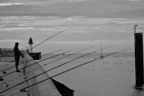 釣魚app開發有哪些功能(圖1) 釣魚app開發有哪些功能(圖1)