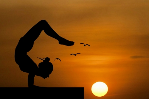 如何開發一款好的瑜伽APP(圖1) 如何開發一款好的瑜伽APP(圖1)