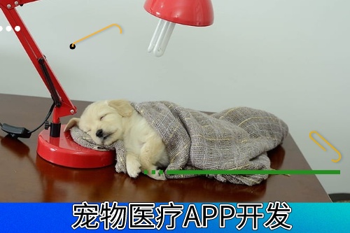 德州寵物醫療APP開發有什么功能模塊(圖1) 德州寵物醫療APP開發有什么功能模塊(圖1)