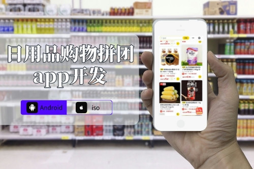 日用品購物拼團app開發(fā)解決方案