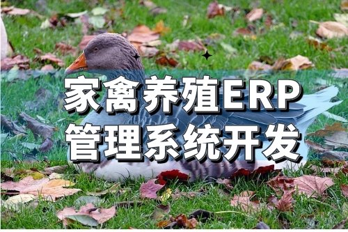 家禽養殖行業ERP管理系統開發有哪些好處