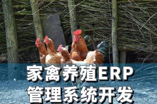 家禽養殖行業ERP管理系統開發有哪些好處(圖2) 家禽養殖行業ERP管理系統開發有哪些好處(圖2)