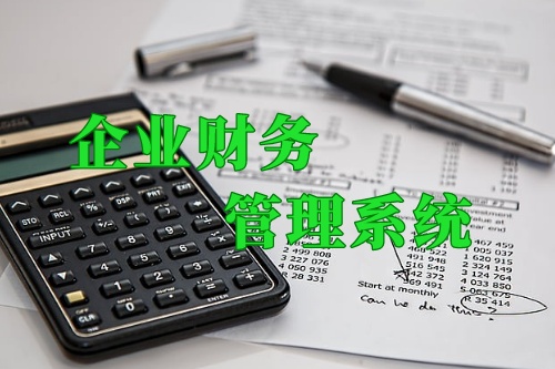 德州企業內部財務管理系統(圖1)