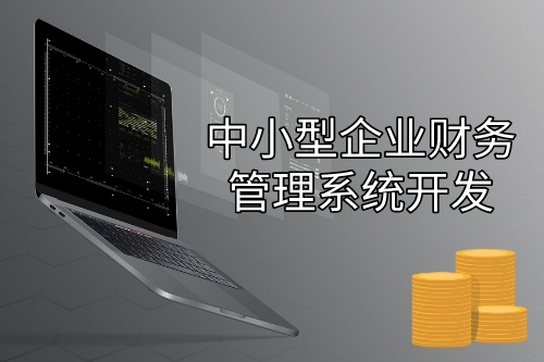 中小型企業財務管理系統開發設計思路(圖1) 中小型企業財務管理系統開發設計思路(圖1)