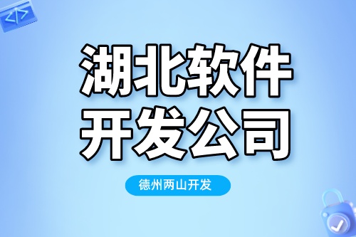 選擇湖北軟件開發公司，需要考慮哪些因素(圖1)